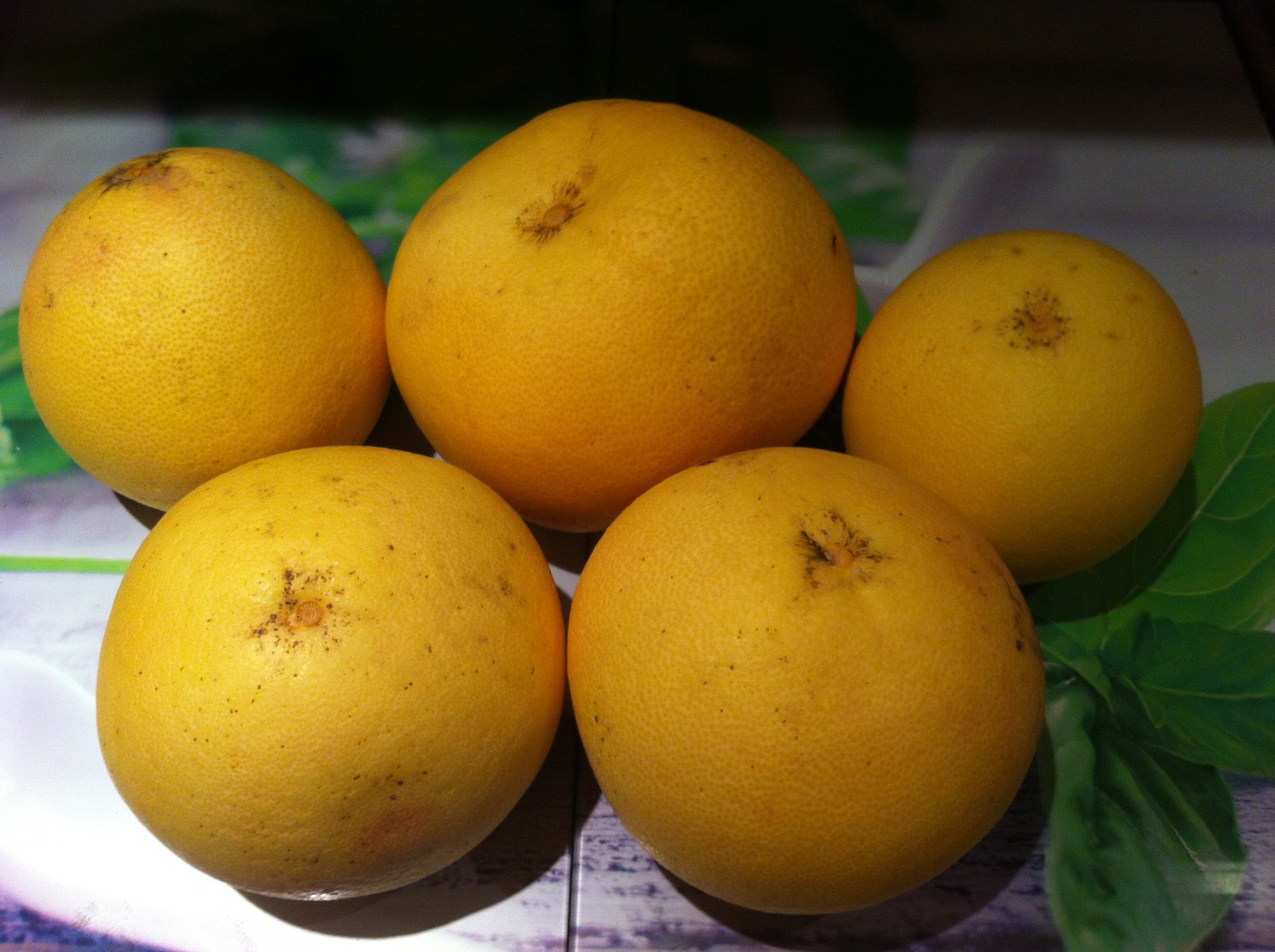 26171989 1777299735676011 6211914662558858263 o