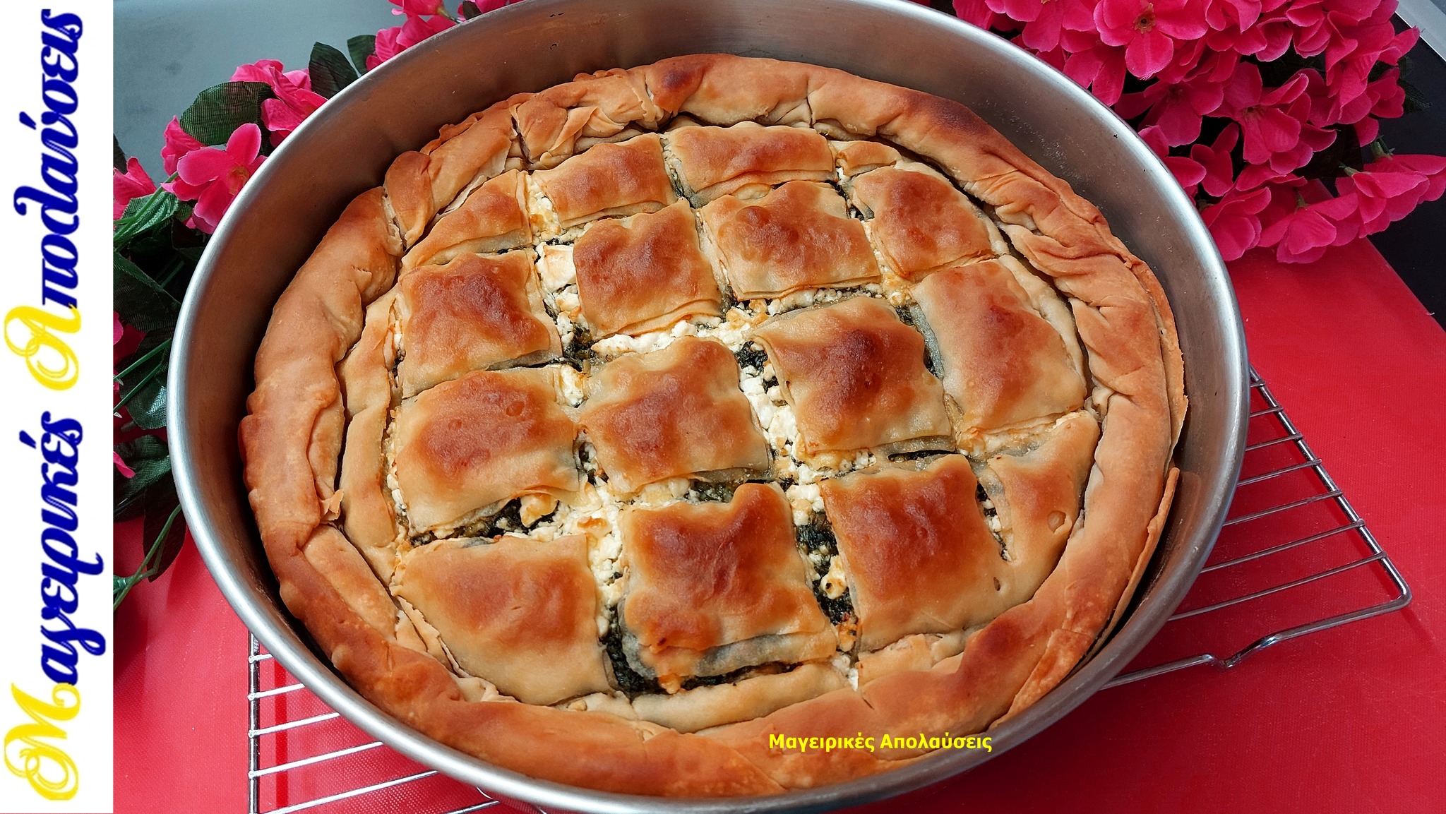 311690489 10221746890526732 22224301726764888 n