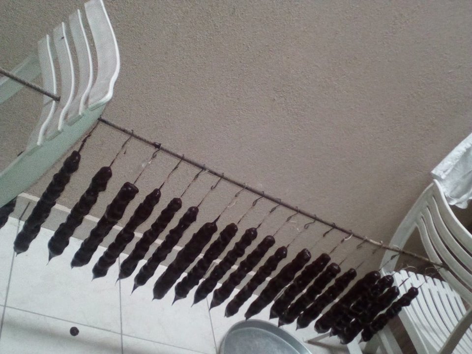 42655694 2293375770679781 5603094719522406400 n