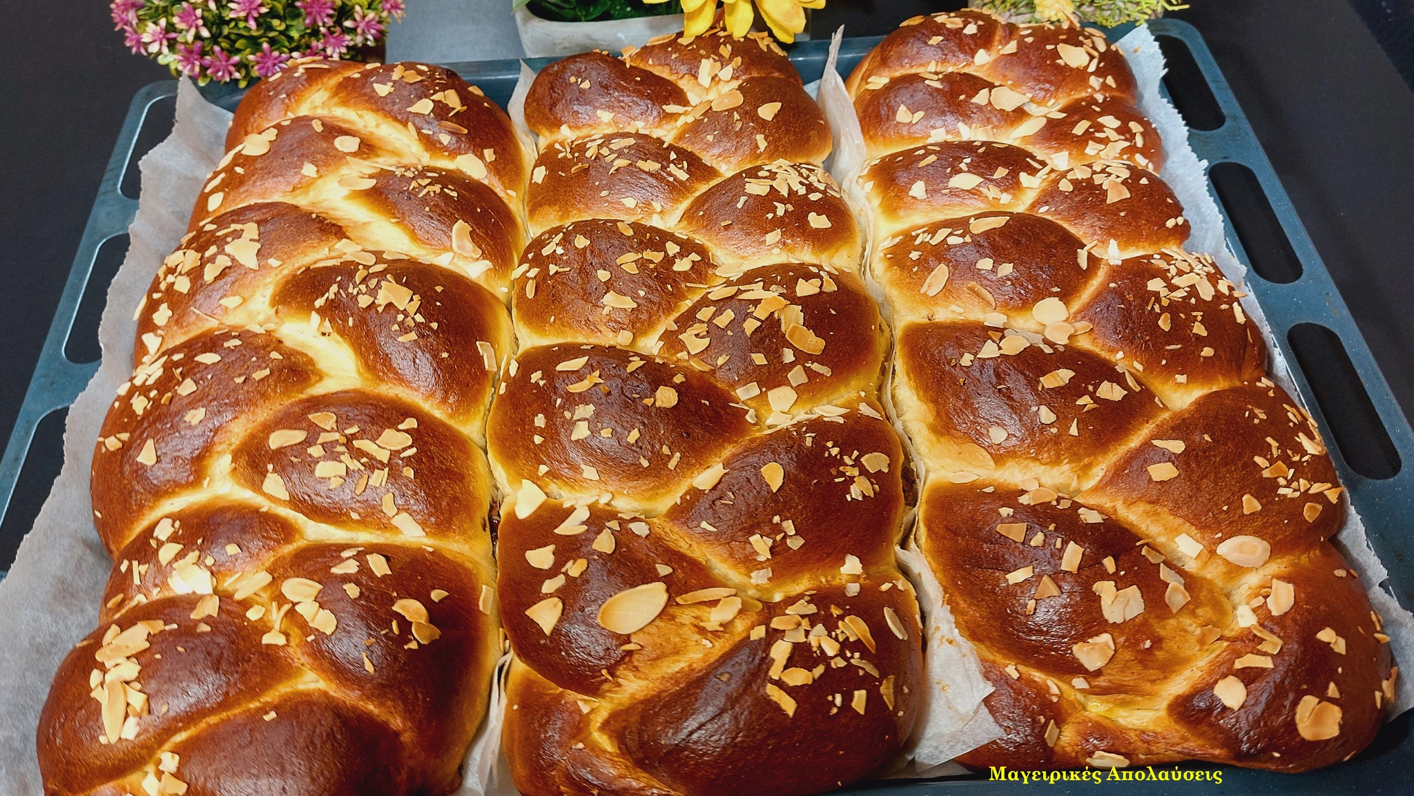 457811596 10225583244073173 7331054895635035763 n