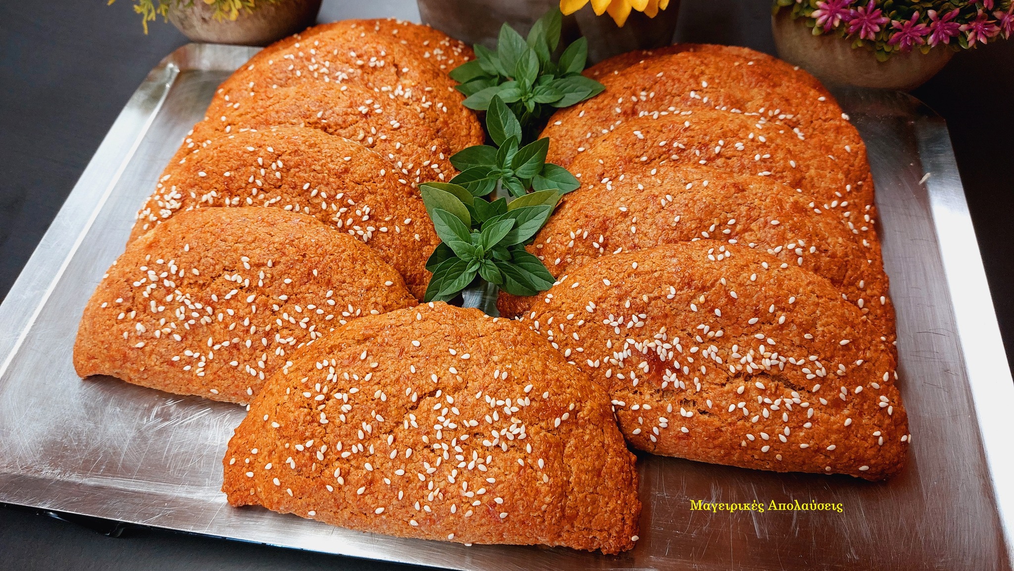 462929264 10226021056338206 1857841130622237037 n